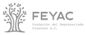 logo-feyac-gris